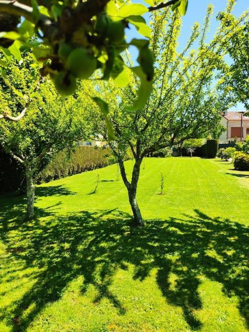 Apartament A Chamiseirina Padrón Zewnętrze zdjęcie
